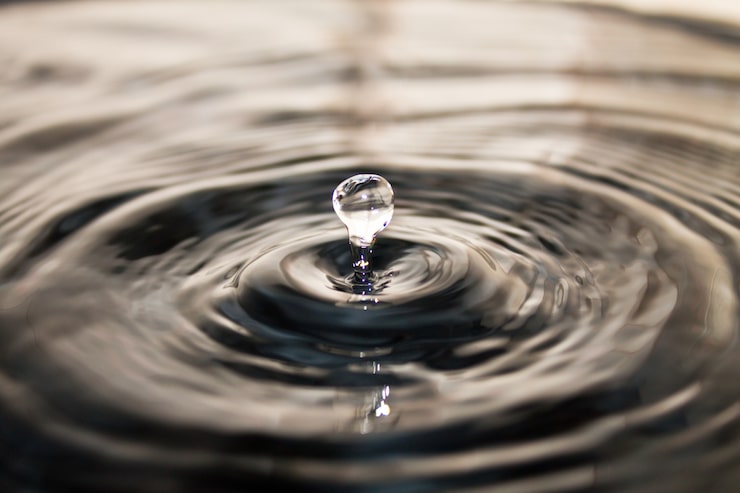 Foto grátis movimento perfeição macro branco limpo