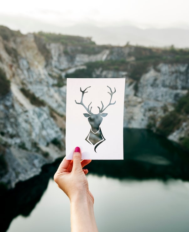 Kostenlose Foto deer frame natur freiheit ort
