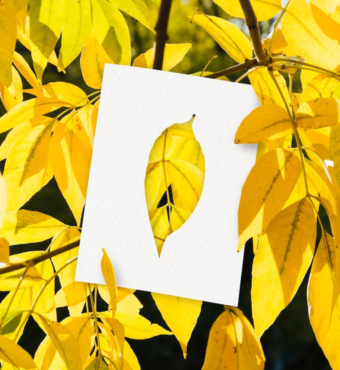 Kostenlose Foto herbstformen mit blattkonzept