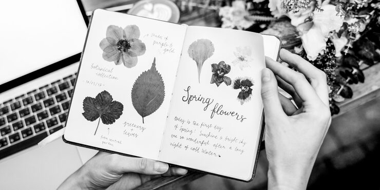 Foto caderno com flores prensadas e anotações manuscritas