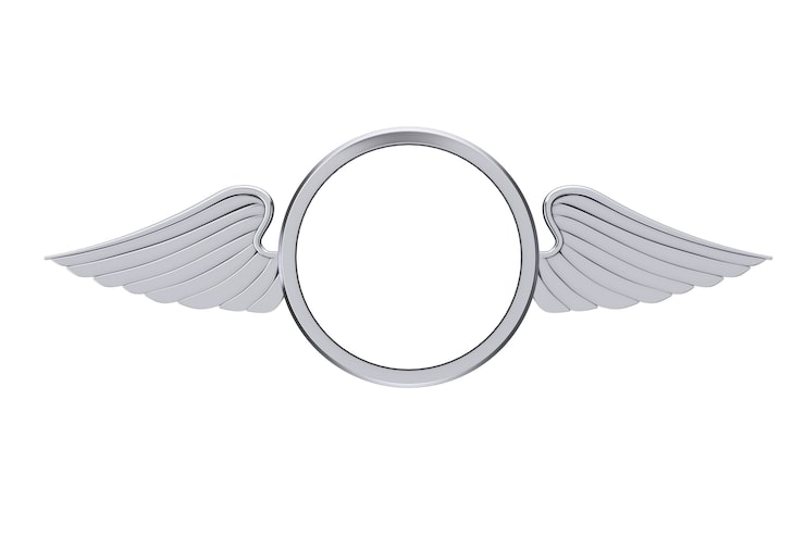 Foto insignia de plata con alas y espacio libre para su diseño sobre un fondo blanco. representación 3d