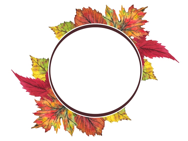 Foto marco de hojas de otoño amarillas y rojas sobre un fondo blanco ilustración acuarela clip art botánica follaje