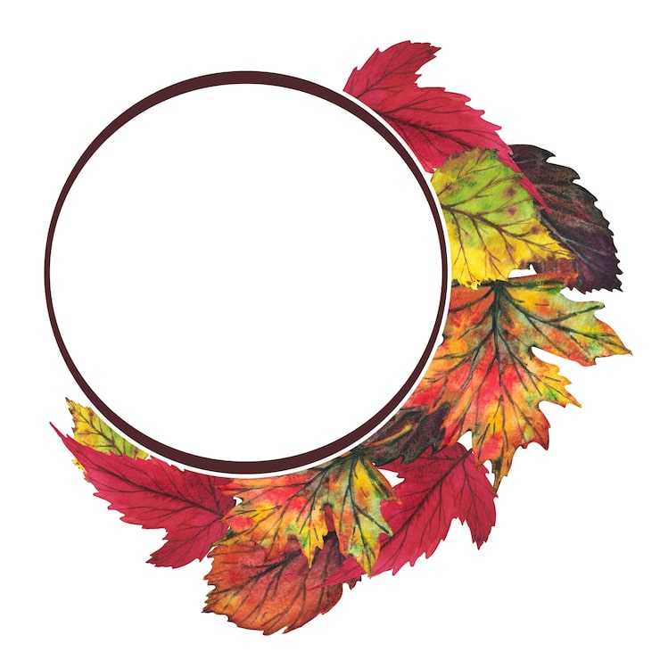 Foto marco de hojas de otoño amarillas y rojas sobre un fondo blanco ilustración acuarela clip art botánica follaje