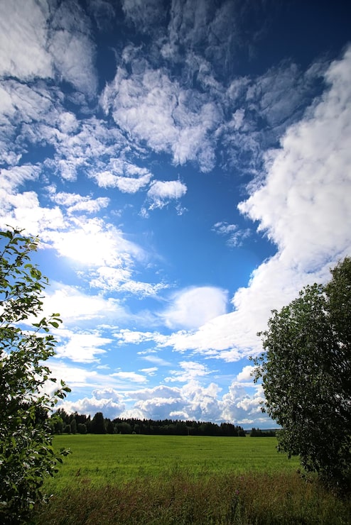 Foto paisaje prado cielo nube