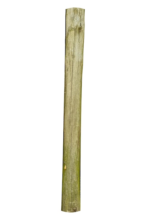Foto poste de cerca de madera erosionado con grietas y musgo verde está aislado.