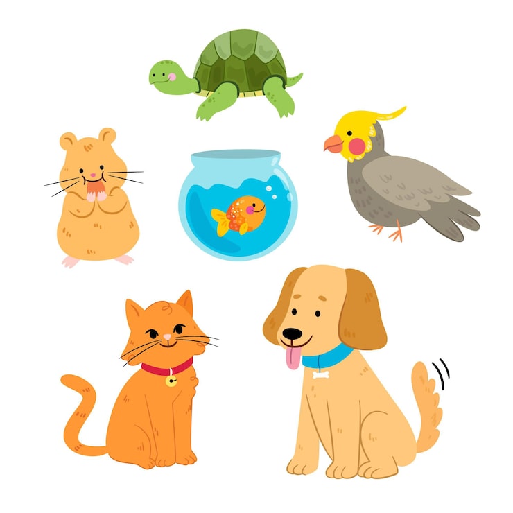 무료 Vector 다른 애완 동물 개념