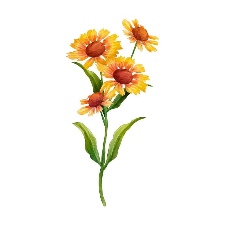 Kostenlose PSD botanisches blumendesign