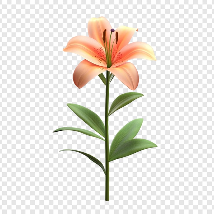 Kostenlose PSD der stamm der pfirsichlilie blättert botanische illustration