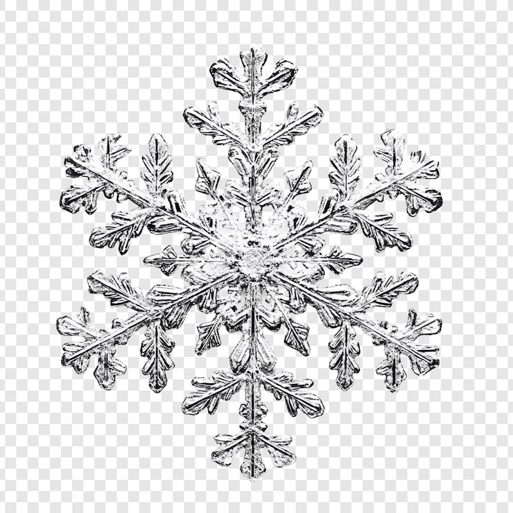 Kostenlose PSD komplizierte schneeflocken-makrofotografie ein winterwunderland closeup
