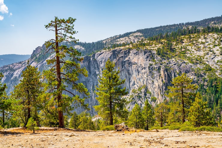 Gratis Foto bilde av den pittoreske naturen i yosemite national park