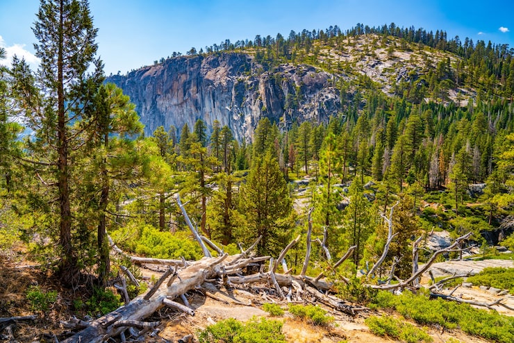 Gratis Foto bilde av den pittoreske naturen i yosemite national park