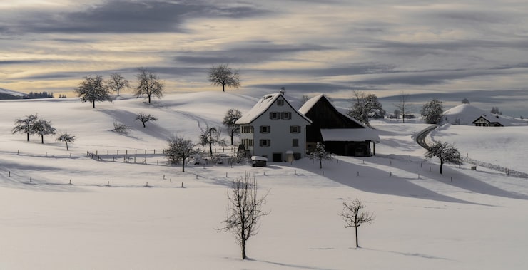 Gratis Foto brunt trehus på snødekket mark i løpet av dagen