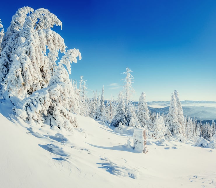Gratis Foto fantastisk vinterlandskap og tre i rimfrost.