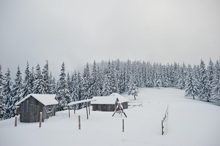 Gratis Foto furuetrær dekket av snø med trehus på fjellet chomiak. vakre vinterlandskap i karpatene, ukraina. frostnatur