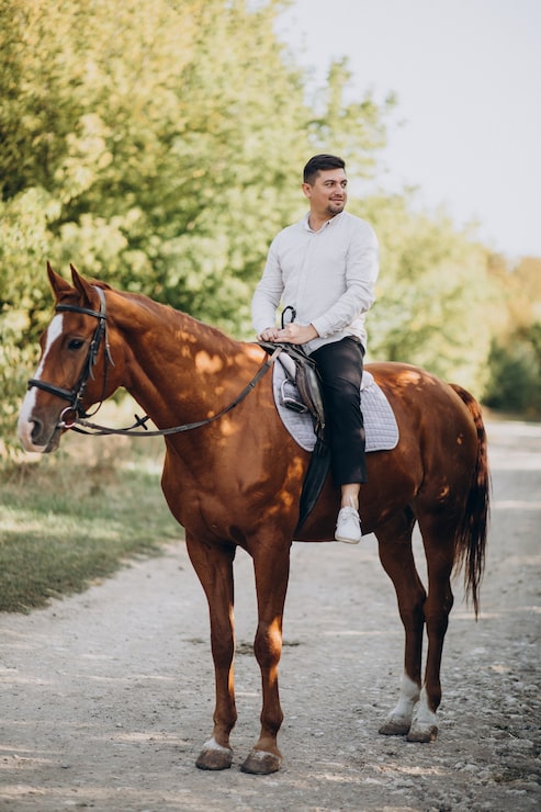 Gratis Foto kjekk mann som rir på en hest i skogen