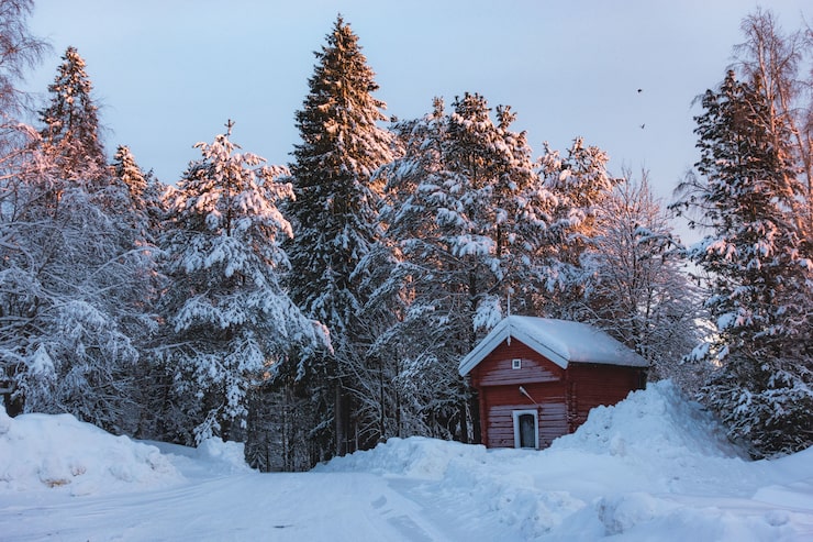 Gratis Foto liten rød hytte i et snøområde omgitt av grantrær dekket av snø med et snev av solstråler