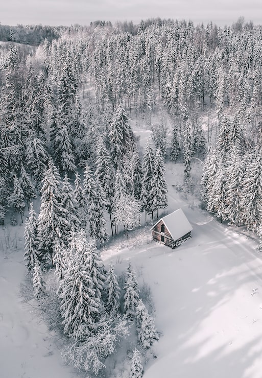 Gratis Foto luftutsikt over et vakkert vinterlandskap med grantrær og en hytte dekket av snø