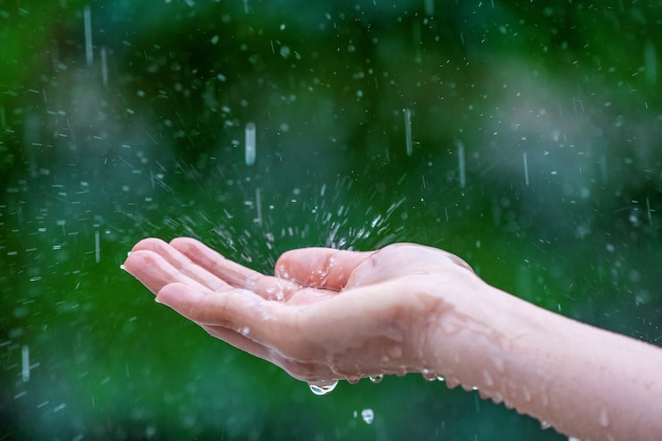 Gratis Foto nærbilde av våte kvinnehender i regn
