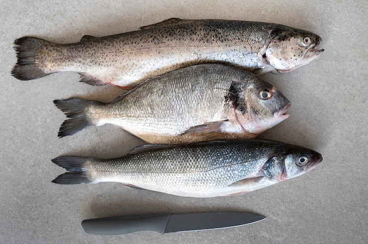 Gratis Foto oversiktsbilde av fisk klar til å bli tilberedt