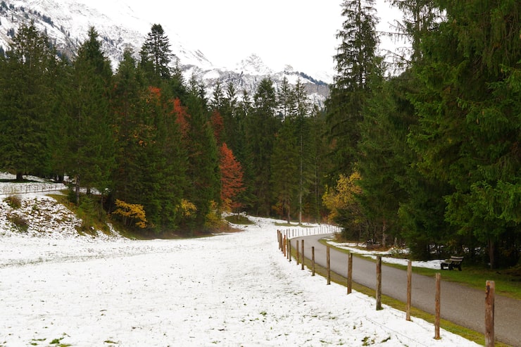 Gratis Foto sti som fører gjennom vinterskog i allgäu-alpene i tyskland