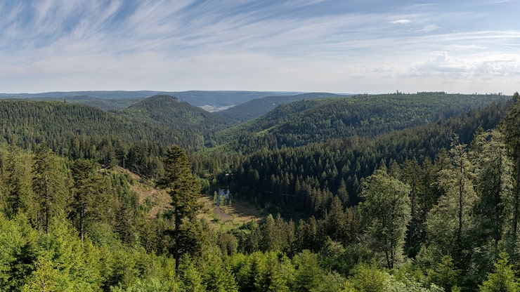 Gratis Foto vakkert bilde av en schwarzwald, tyskland