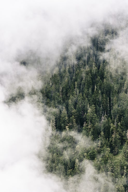 Gratis Foto vertikalt luftfoto av skyer over skogen