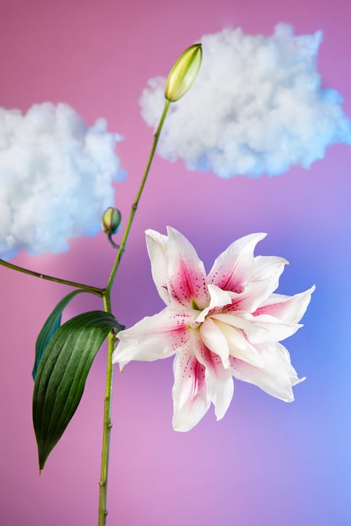 Gratis Bild arrangemang med blommor i skyn