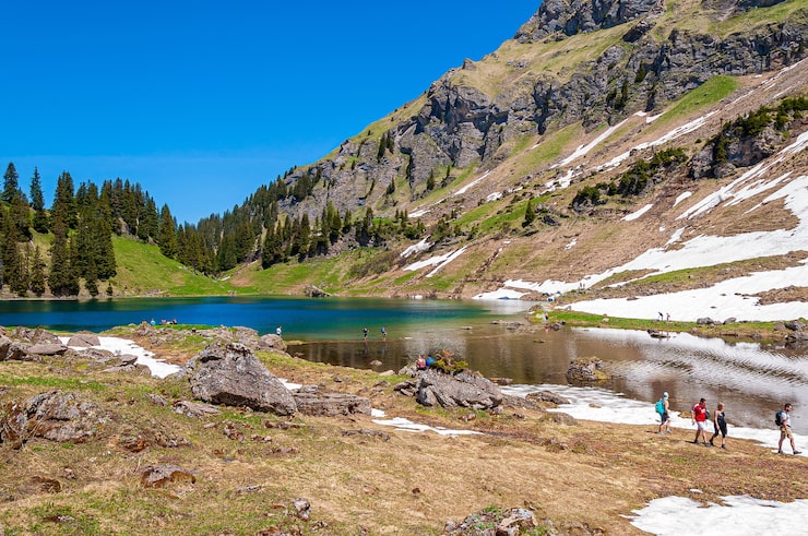 Gratis Bild berg och träd omgivna av sjön lac lioson i schweiz