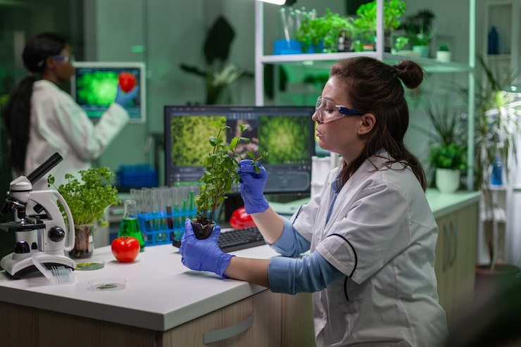 Gratis Bild biolog, vetenskaplig läkare som undersöker grön planta medan han skriver på tangentbord, ekologiexpertis