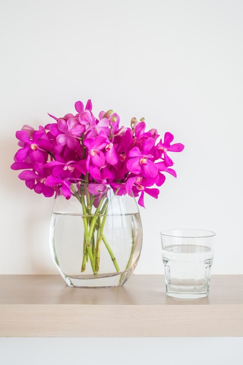 Gratis Foto blomsterpotte med vand og glas