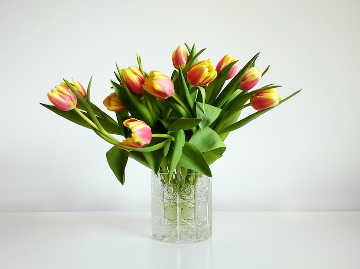 Gratis Foto buketter af orange tulipaner i en vase under lysene mod en hvid baggrund