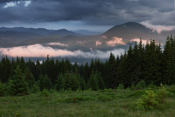 Gratis Bild färgad soluppgång i skogbeklädd bergssluttning med dimma. dimmigt karpatiskt landskap