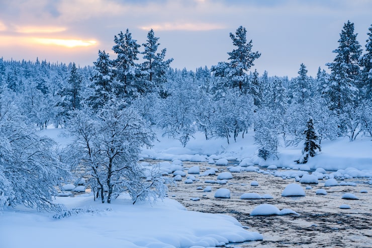 Gratis Bild flod med snö i och en skog nära täckt med snö på vintern i sverige