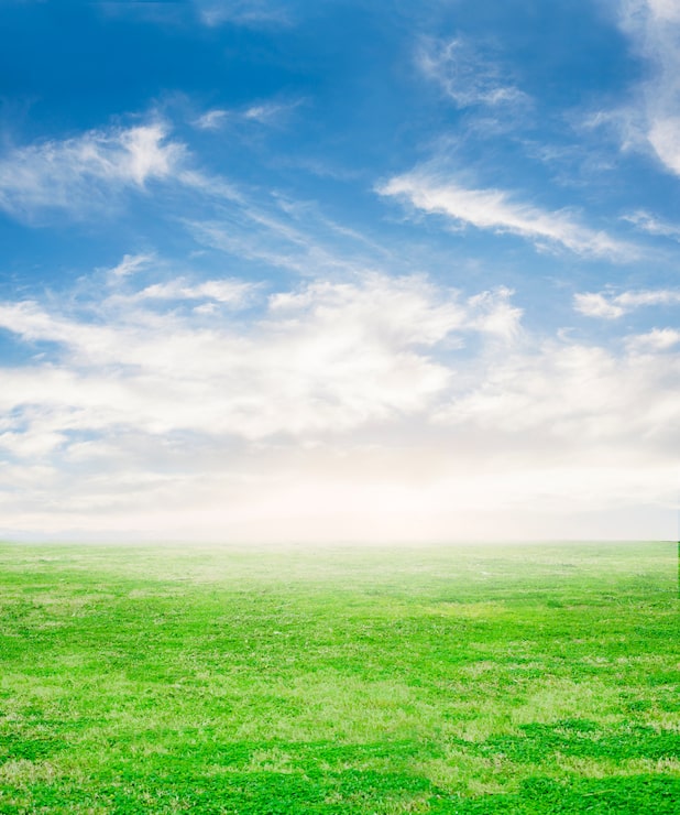 Gratis Foto frisk græs med himmel baggrund
