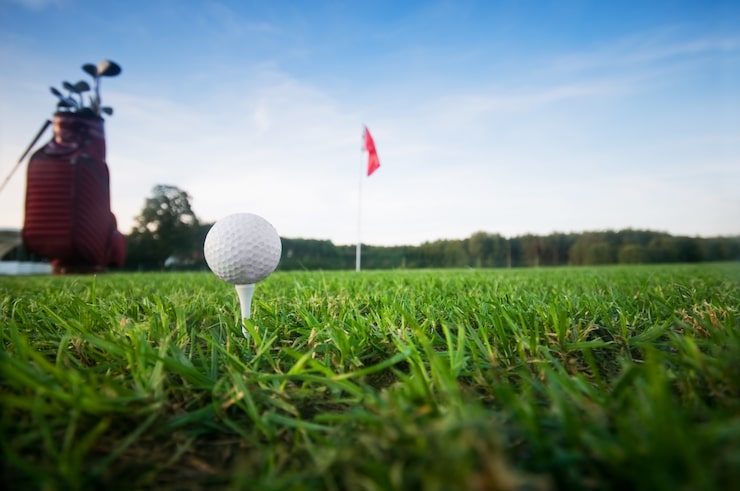 Gratis Bild golfboll och flagga