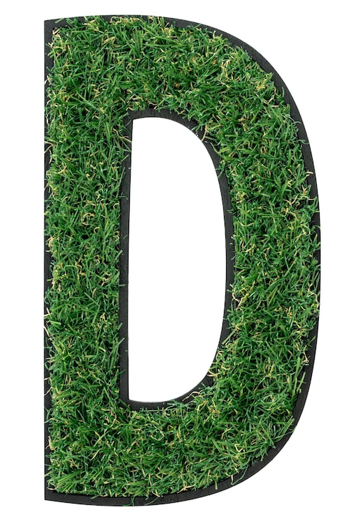 Gratis Bild gräs bokstaven d, alfabet d design isolerad transparent bakgrund