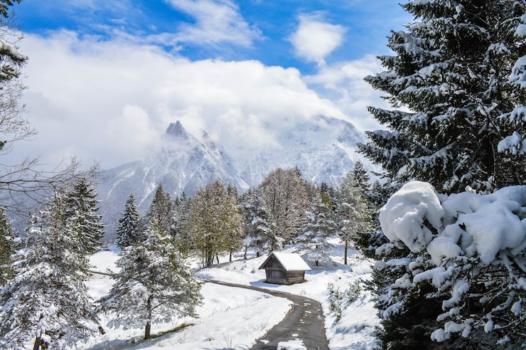 Gratis Bild högvinkelbild av vackra snötäckta träd, stuga och berg