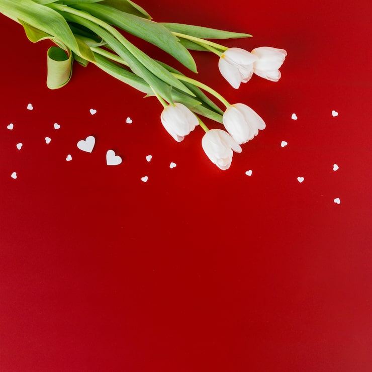 Gratis Foto hvide tulipaner med små hjerter