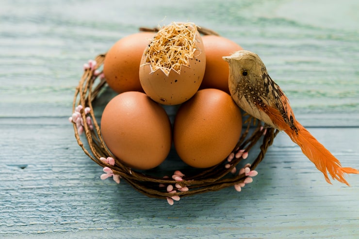 Gratis Bild leksaksfågel nära ägg