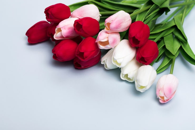 Gratis Foto nærbillede af tulipanbuket