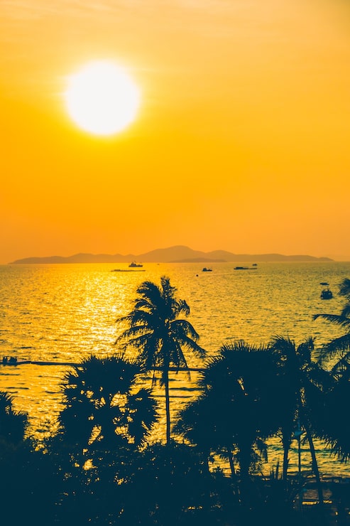 Gratis Bild orange paradis sol landskap bakgrund