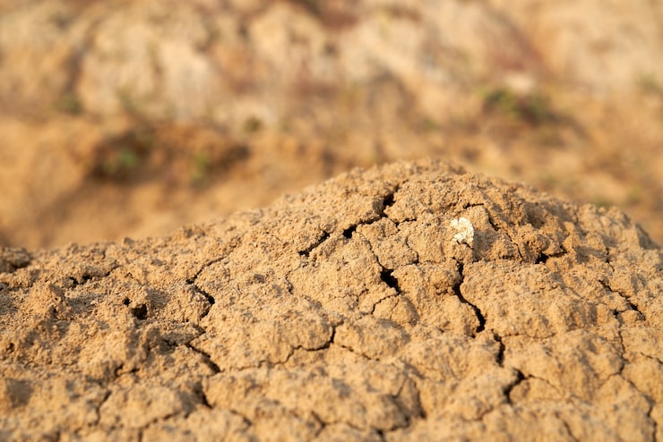 Gratis Bild ovanifrån av högar med brun smulig sand i öknen.
