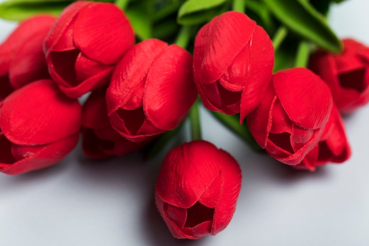 Gratis Foto rød blomstrende tulipanbuket