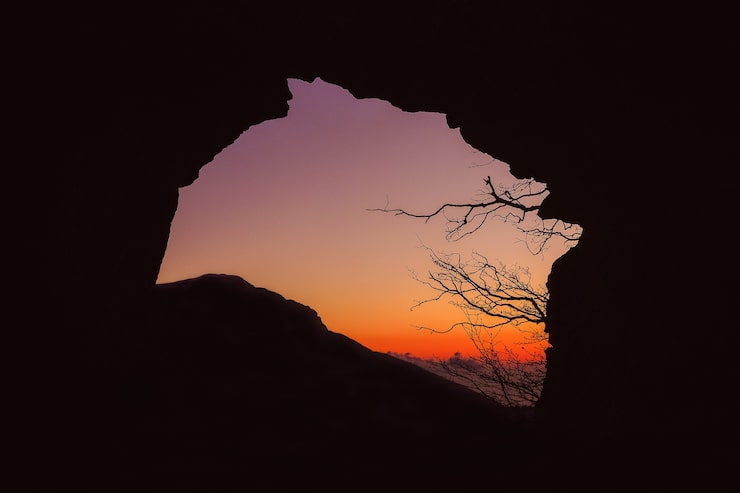 Gratis Foto silhuet af hule under solnedgang
