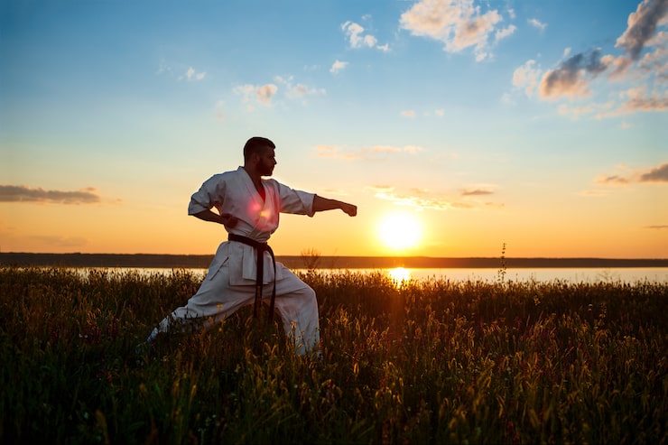 Gratis Bild silhuett av sportig man som tränar karate på ett fält i soluppgången.
