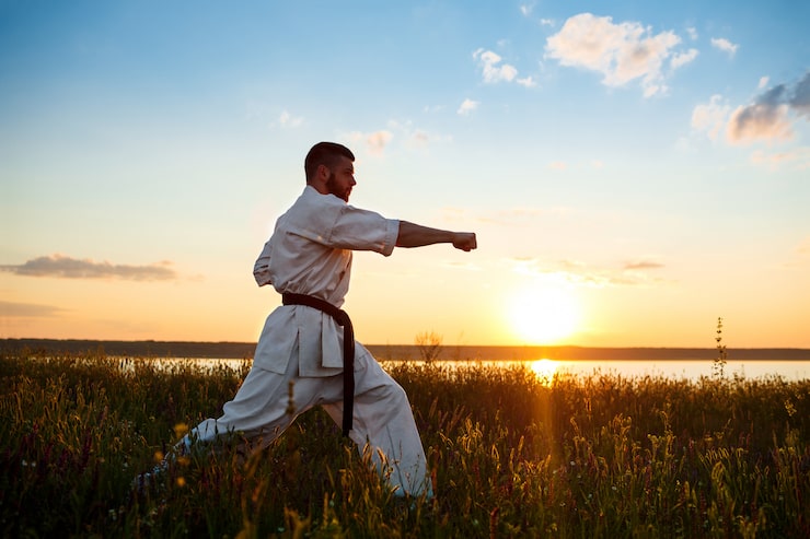 Gratis Bild silhuett av sportig man som tränar karate på ett fält i soluppgången.