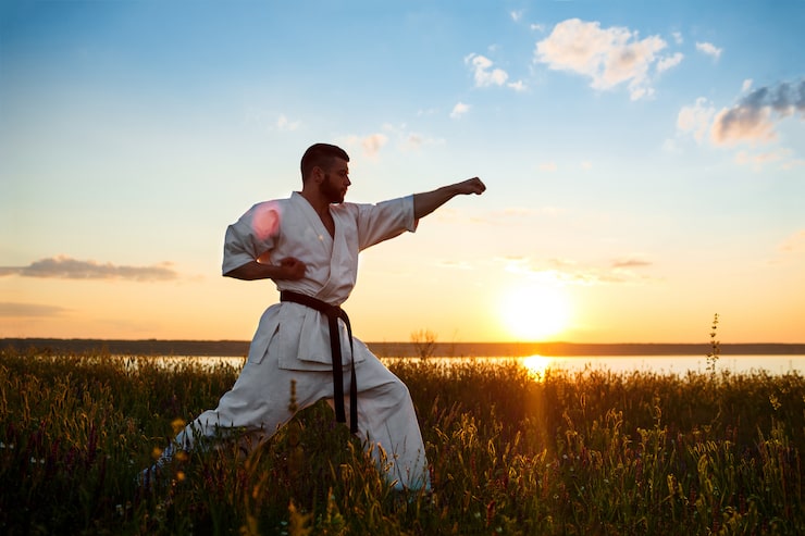 Gratis Bild silhuett av sportig man som tränar karate på ett fält i soluppgången.