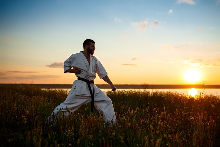 Gratis Bild silhuett av sportig man som tränar karate på ett fält i soluppgången.