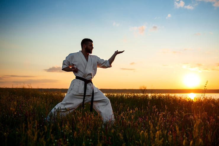 Gratis Bild silhuett av sportig man som tränar karate på ett fält i soluppgången.