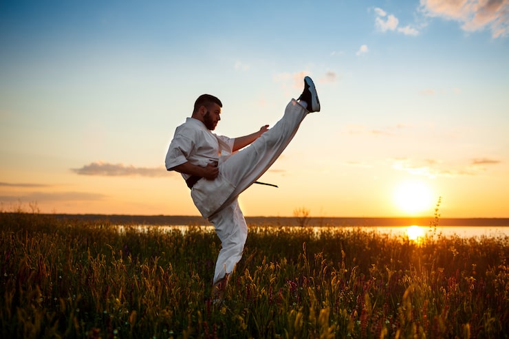 Gratis Bild silhuett av sportig man som tränar karate på ett fält i soluppgången.